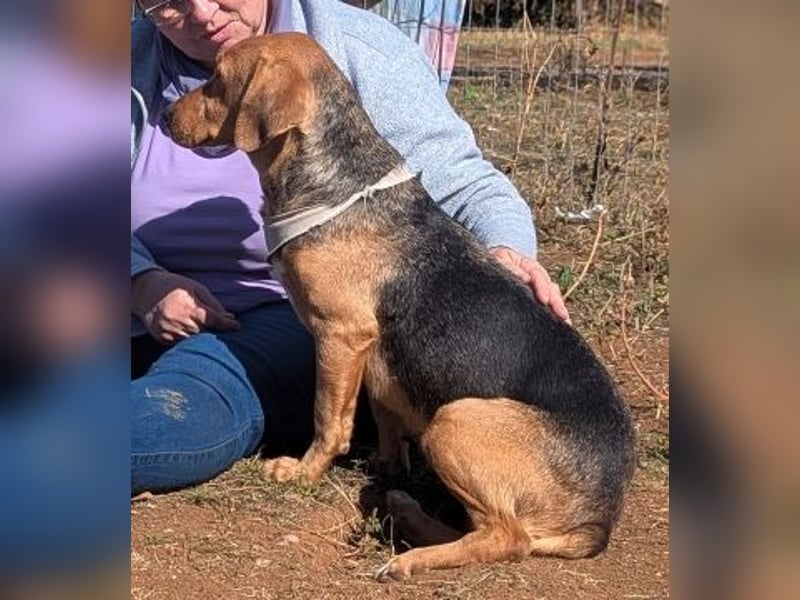 Mokka-liebe kleine Menschenfreundin