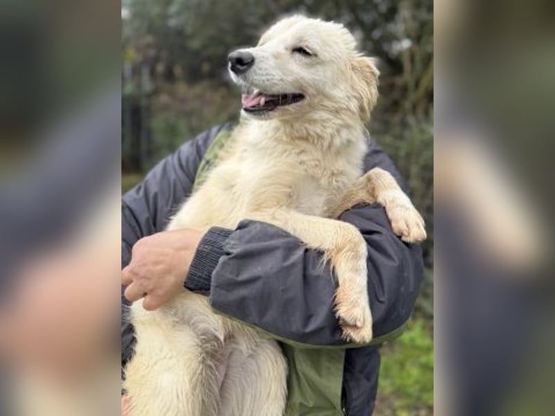 Sweety - flotte Motte