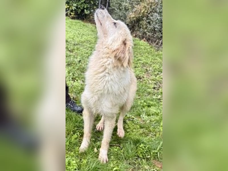 Sweety - flotte Motte