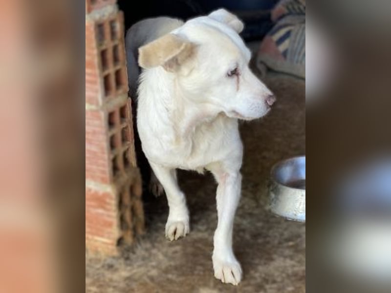 Liebe Milka sucht warmes Plätzchen