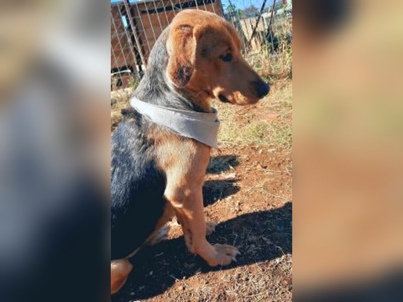 Mokka-liebe kleine Menschenfreundin