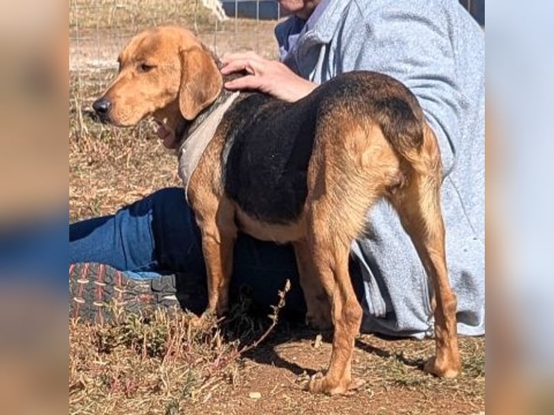 Mokka-liebe kleine Menschenfreundin