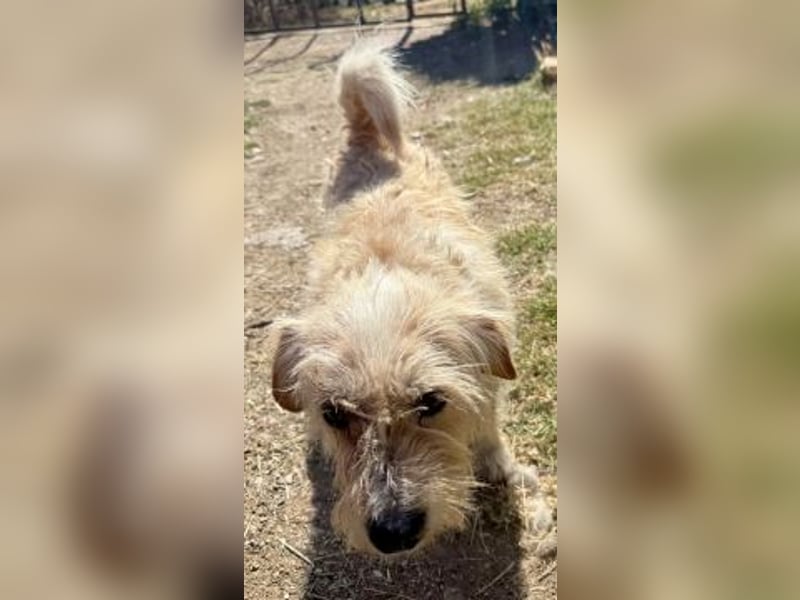 Gary auf der Suche nach dem Glück