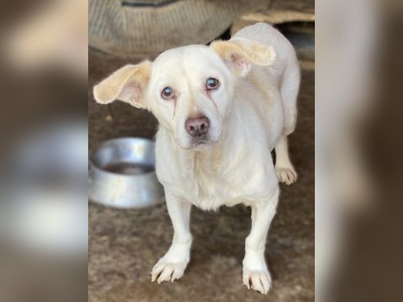 Liebe Milka sucht warmes Plätzchen