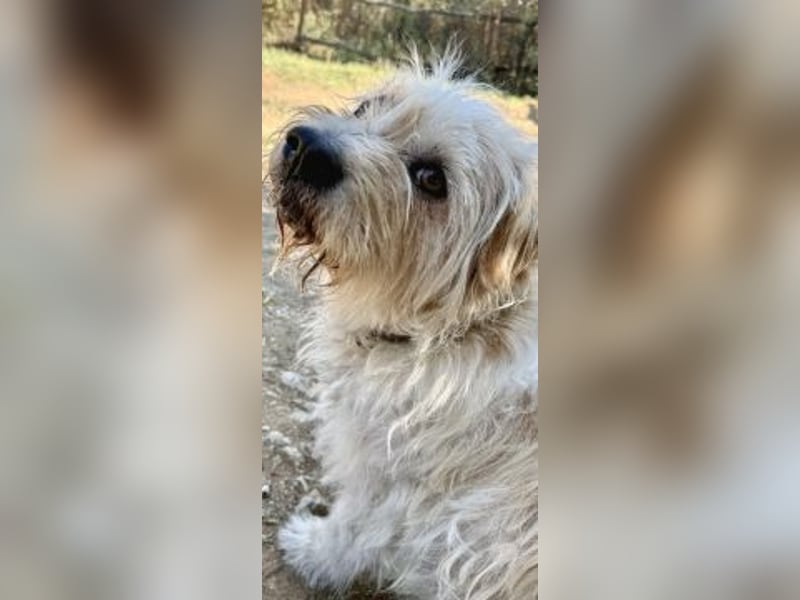 Gary auf der Suche nach dem Glück