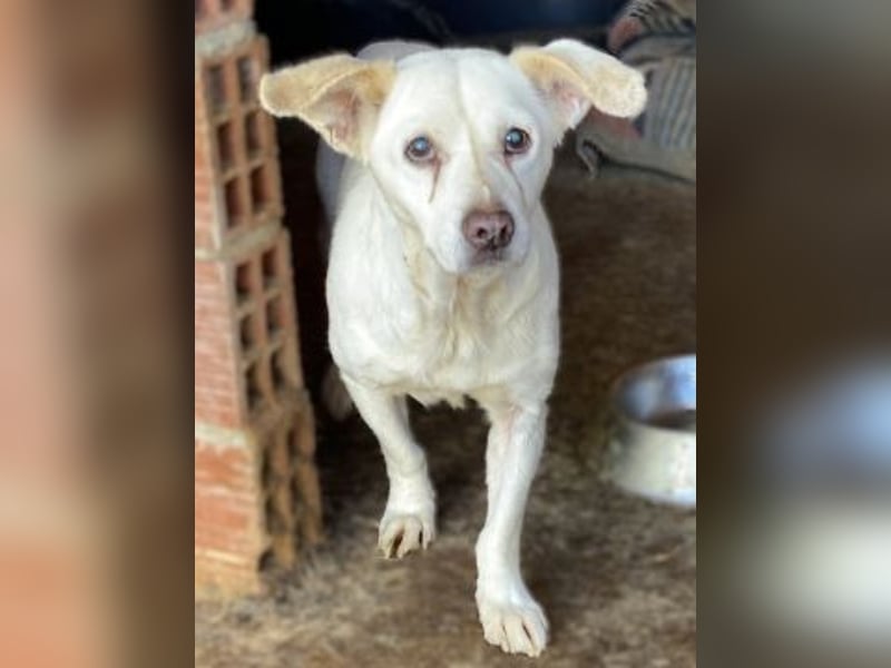 Liebe Milka sucht warmes Plätzchen