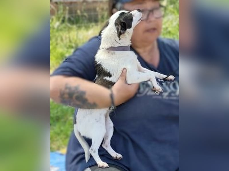 Vicky - kleine quirlige Lady sucht Anschluss
