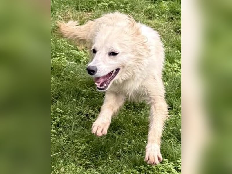 Sweety - flotte Motte