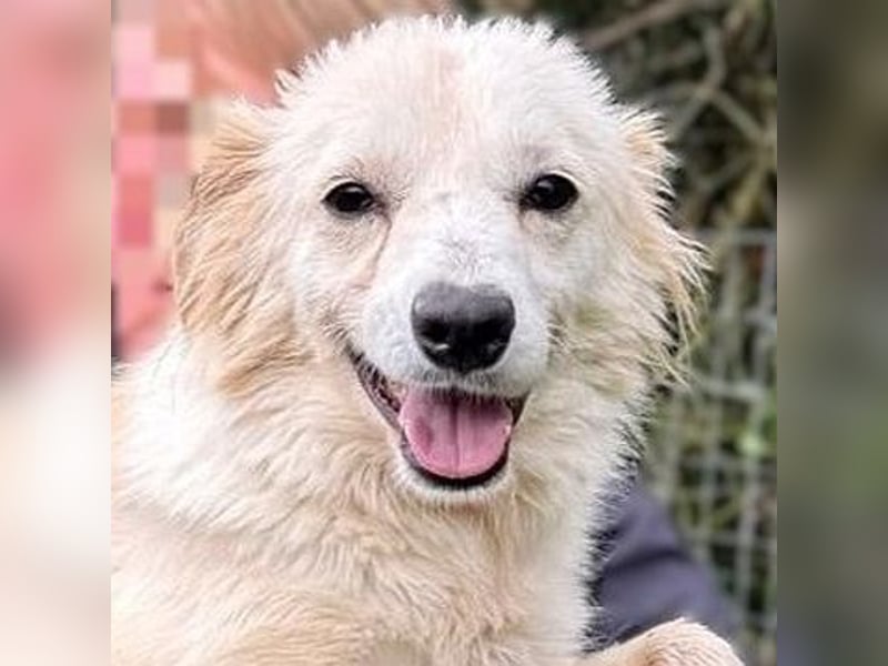 Sweety - flotte Motte