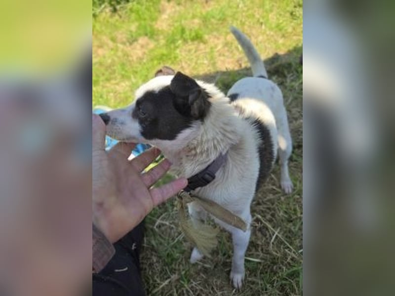 Vicky - kleine quirlige Lady sucht Anschluss