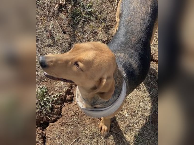 Mokka-liebe kleine Menschenfreundin