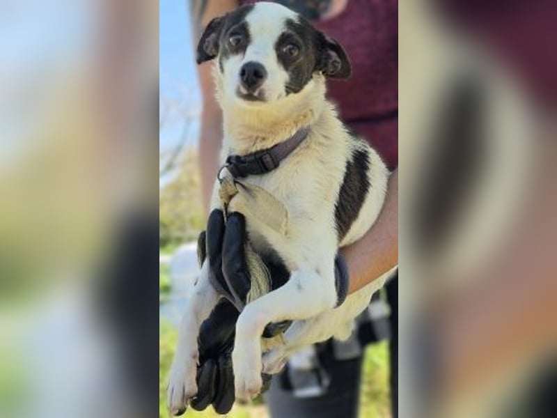 Vicky - kleine quirlige Lady sucht Anschluss