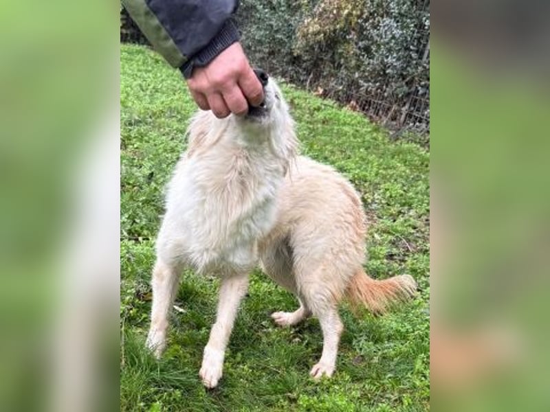 Sweety - flotte Motte