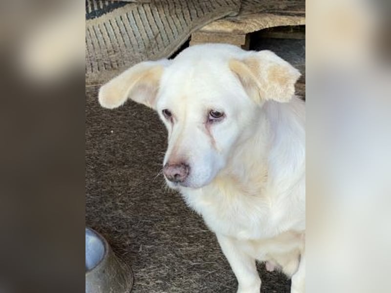 Liebe Milka sucht warmes Plätzchen