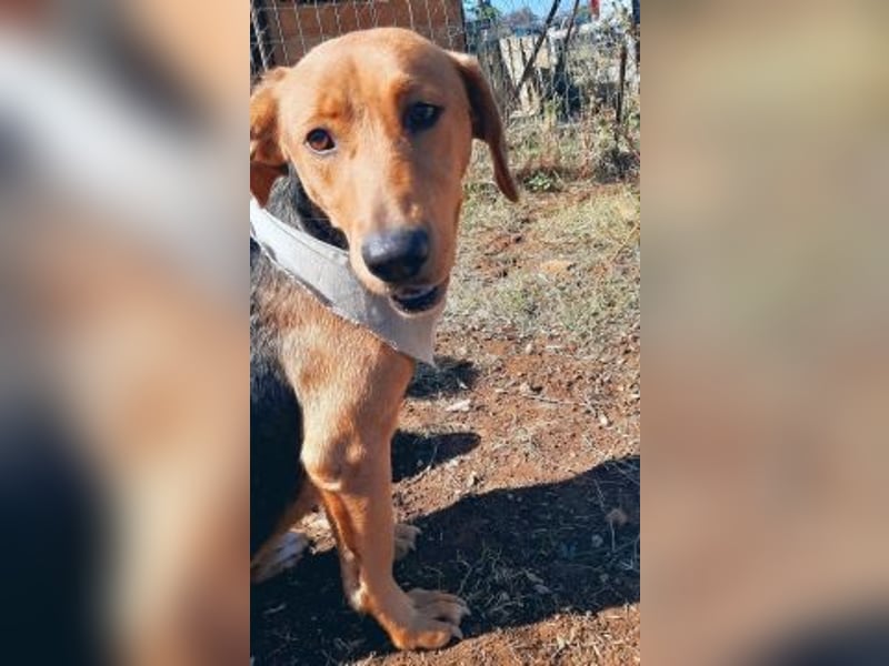 Mokka-liebe kleine Menschenfreundin