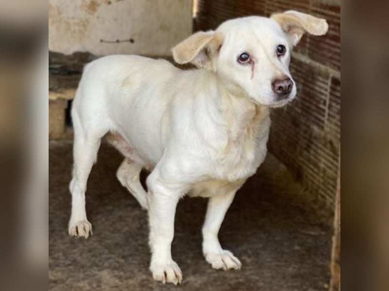 Liebe Milka sucht warmes Plätzchen