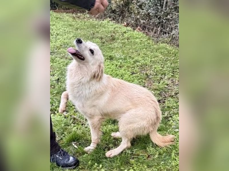 Sweety - flotte Motte