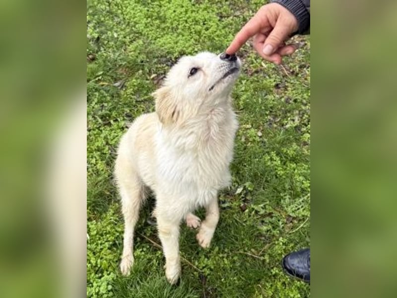 Sweety - flotte Motte