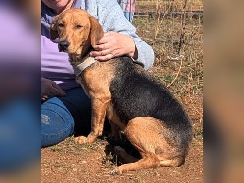 Mokka-liebe kleine Menschenfreundin