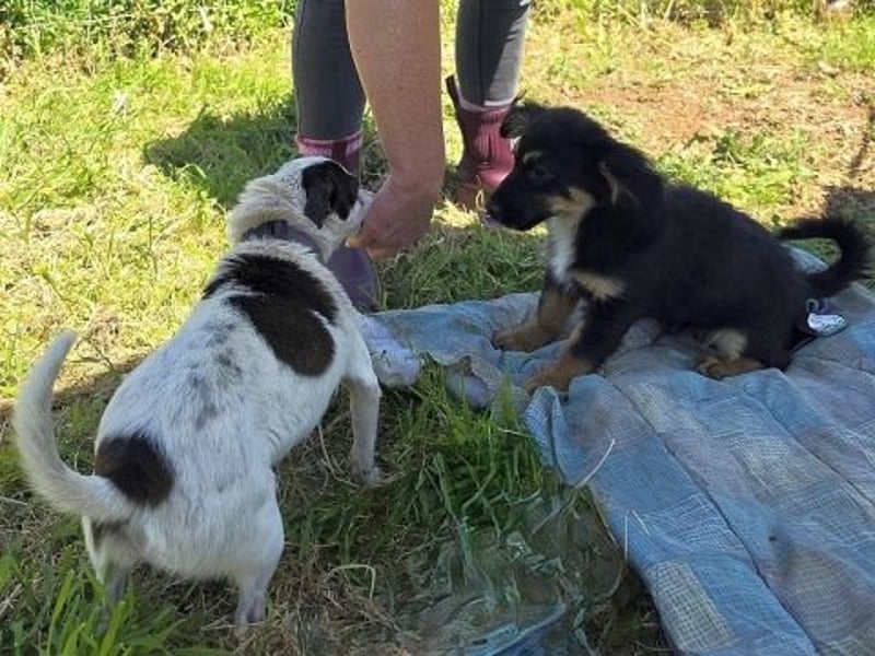 Vicky - kleine quirlige Lady sucht Anschluss
