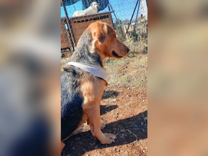 Mokka-liebe kleine Menschenfreundin