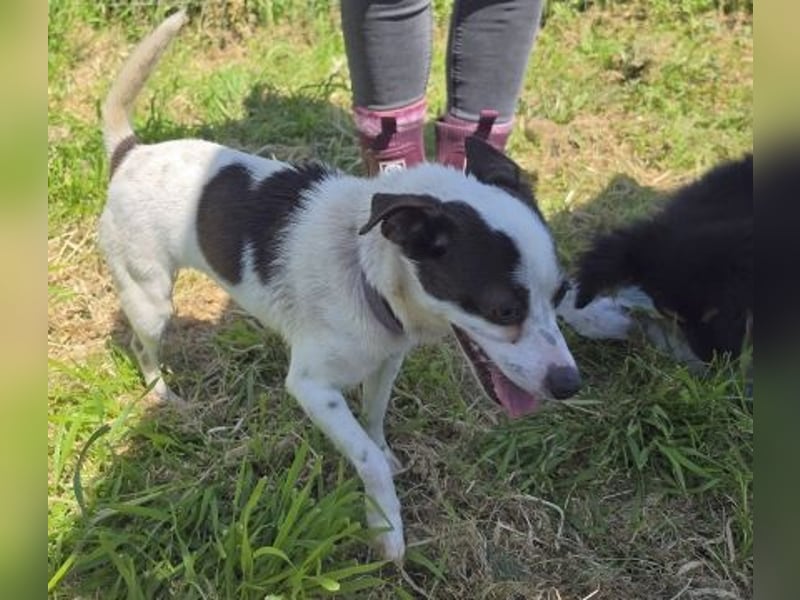 Vicky - kleine quirlige Lady sucht Anschluss