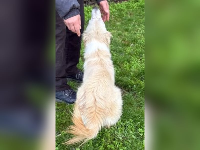 Sweety - flotte Motte