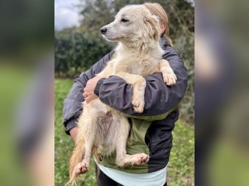 Sweety - flotte Motte