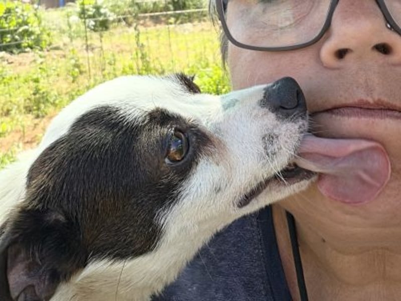 Vicky - kleine quirlige Lady sucht Anschluss
