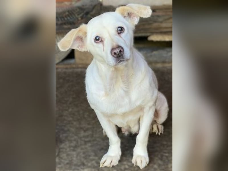 Liebe Milka sucht warmes Plätzchen