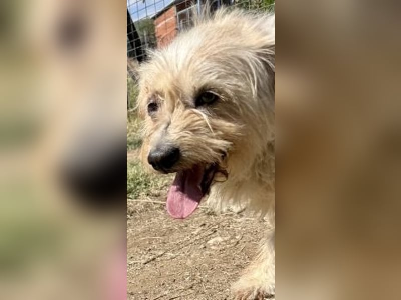 Gary auf der Suche nach dem Glück