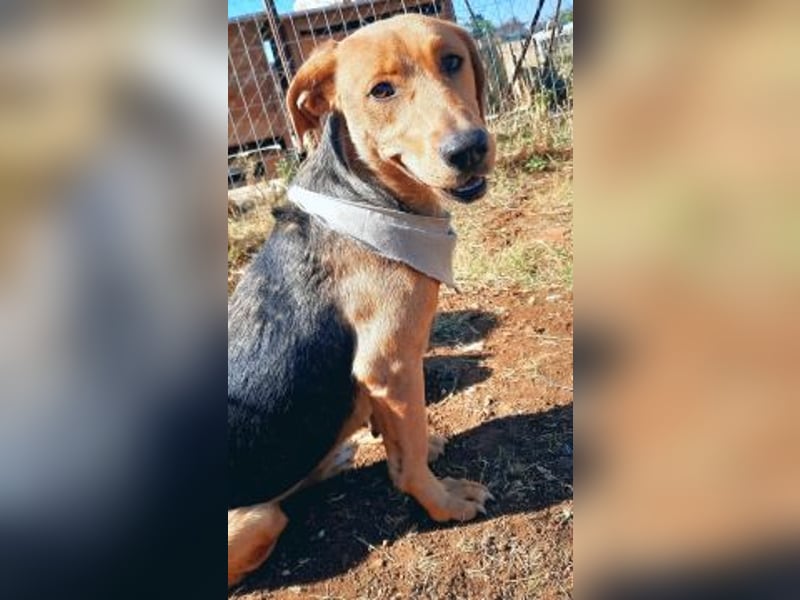 Mokka-liebe kleine Menschenfreundin