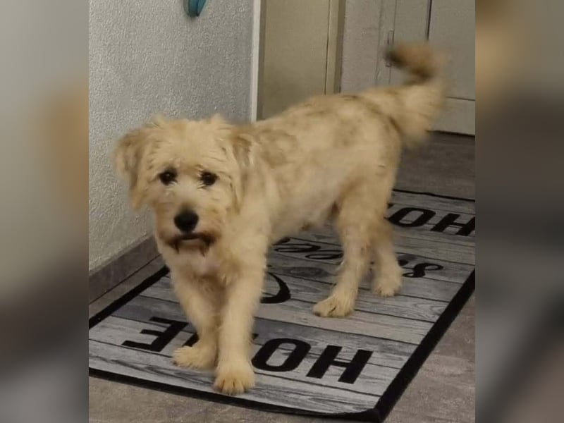 Happy leider nicht Happy