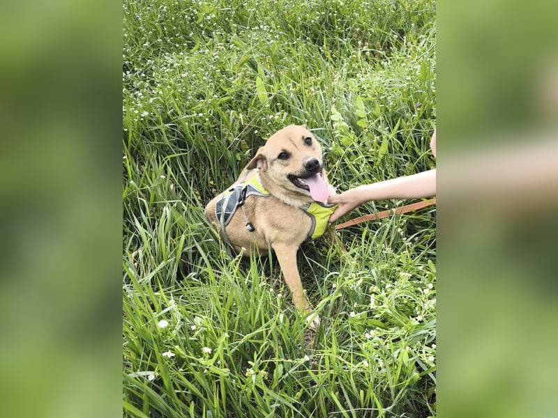 Kleine Endeckerin Penny