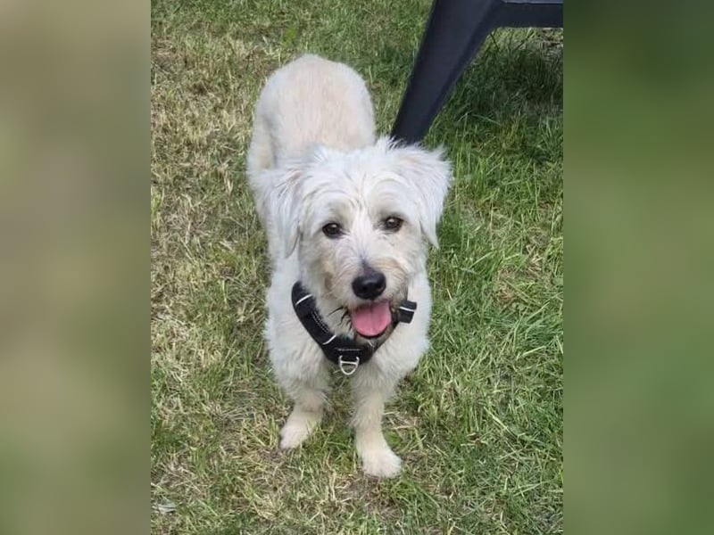 Happy leider nicht Happy