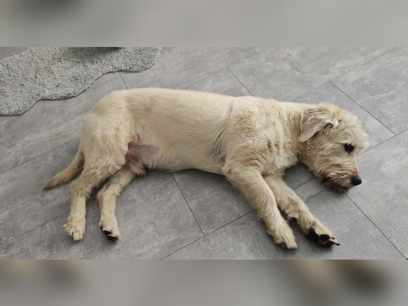 Happy leider nicht Happy