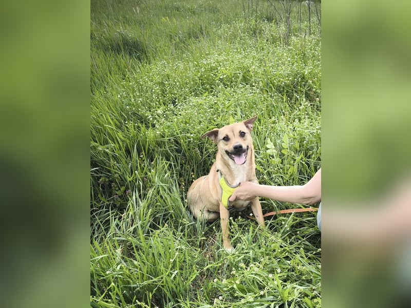 Kleine Endeckerin Penny