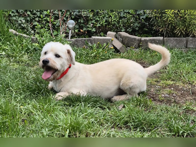 Happy leider nicht Happy