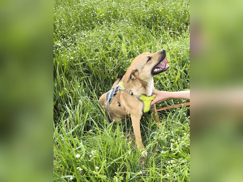 Kleine Endeckerin Penny