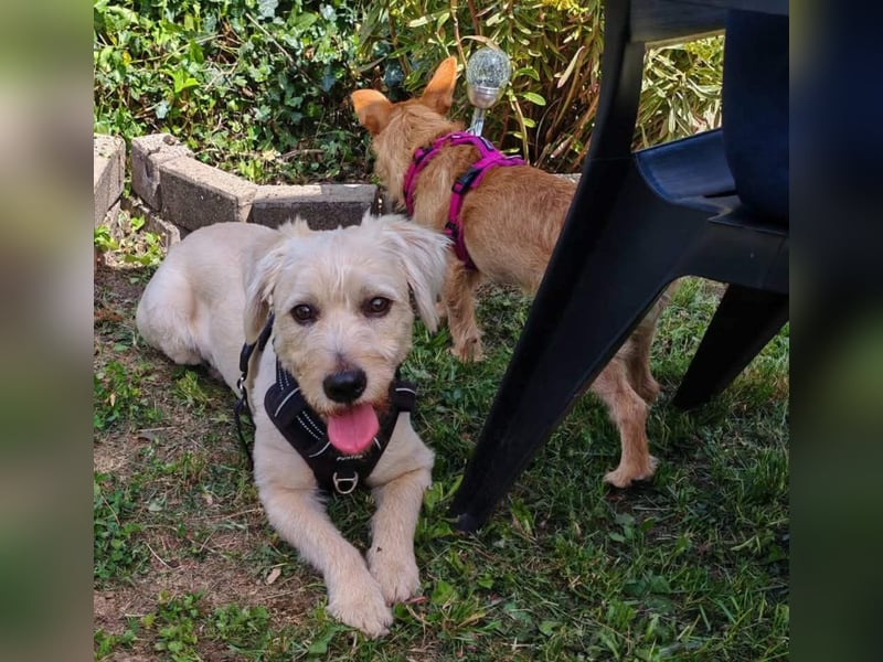 Happy leider nicht Happy