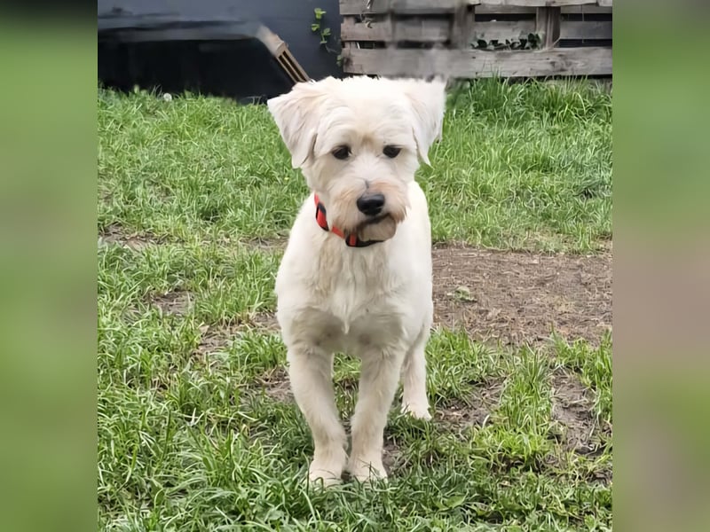 Happy leider nicht Happy