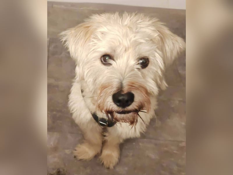 Happy leider nicht Happy