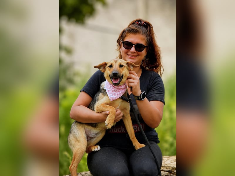 Skye auf Pflegestelle in Leipzig