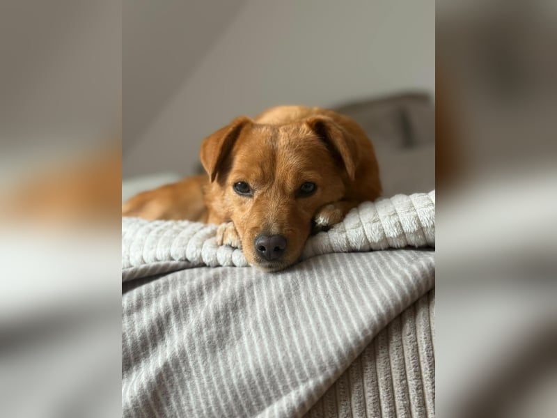 Junky auf Pflegestelle in Berlin