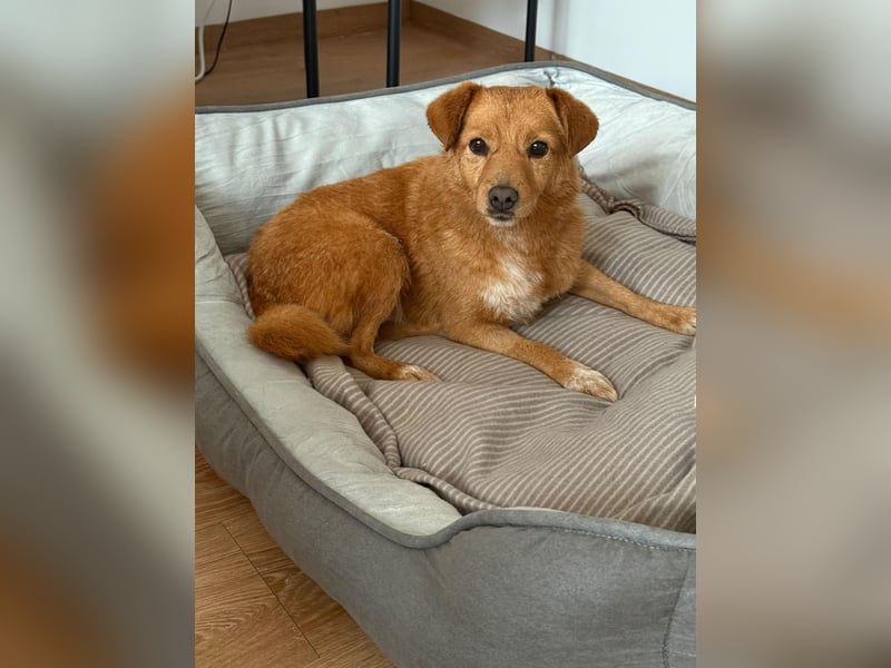 Junky auf Pflegestelle in Berlin