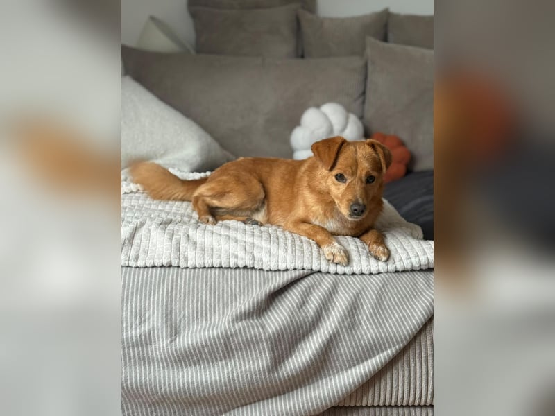 Junky auf Pflegestelle in Berlin
