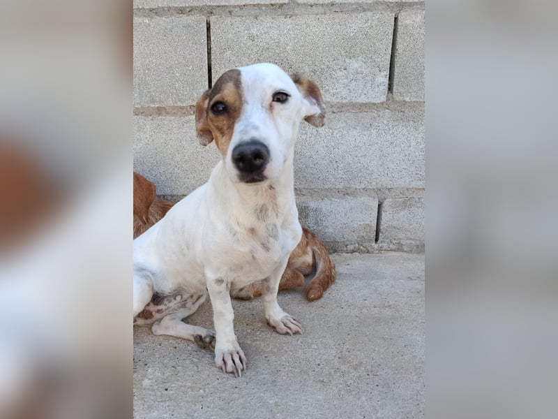 Juna ist liebenswert und unkompliziert