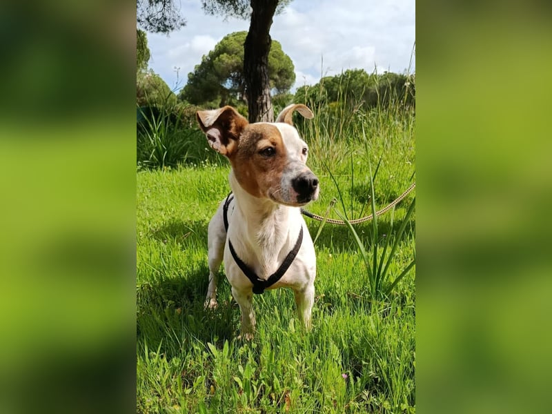 Juna ist liebenswert und unkompliziert