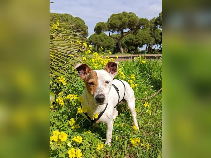 Juna ist liebenswert und unkompliziert