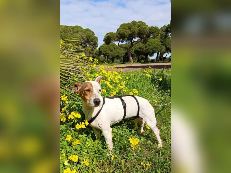 Juna ist liebenswert und unkompliziert